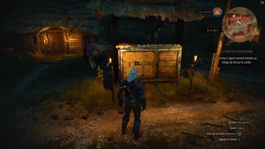 Witcher 3 (a)